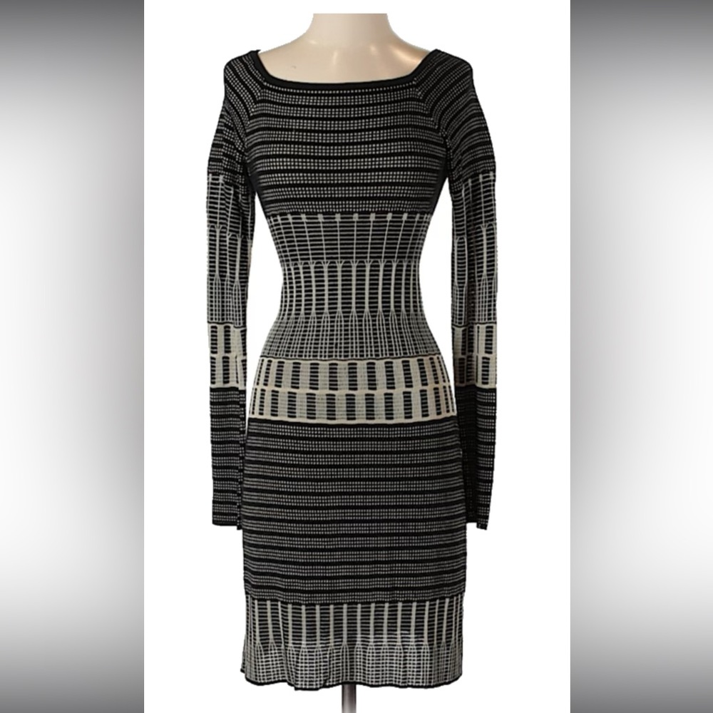 Max Studio Black and Tan Long Sleeve Dress